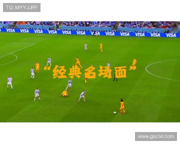 世界杯的球员们(世界杯球员名字)世界杯体育论坛