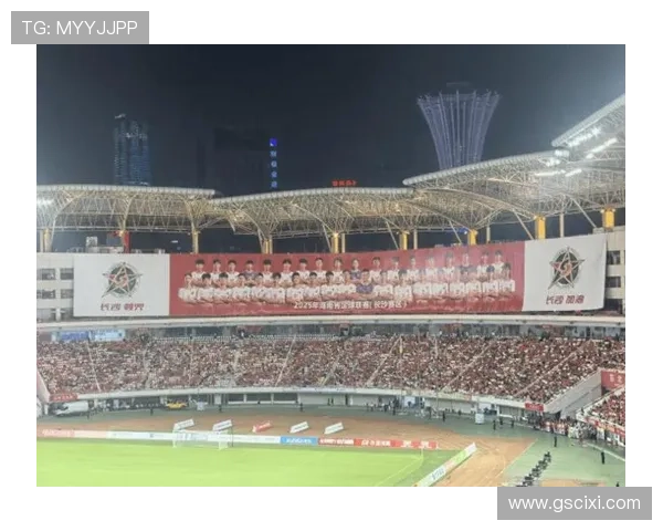 国内重要体育联赛有哪些（国内重要体育联赛有哪些项目）sports