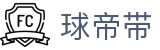 球帝带官网 - 专业足球资讯、数据分析与球迷社区